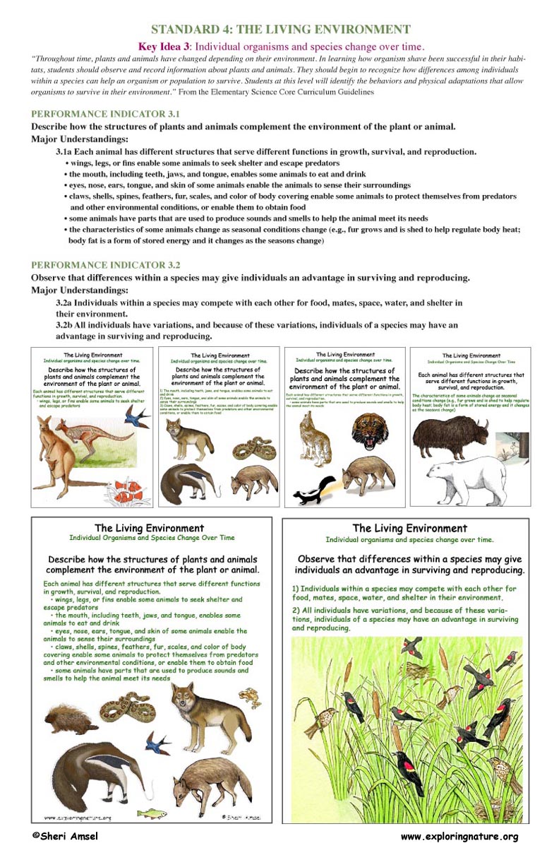 key-idea-3-individual-organisms-and-species-change-over-time