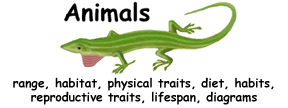 All Animals (Wildlife) Index -- Exploring Nature Educational Resource