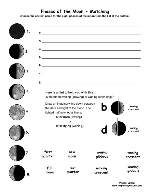 Phases Of The Moon Matching