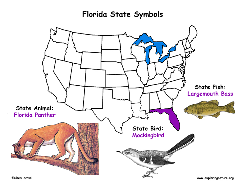 list-of-florida-state-symbols-florida-state-animals