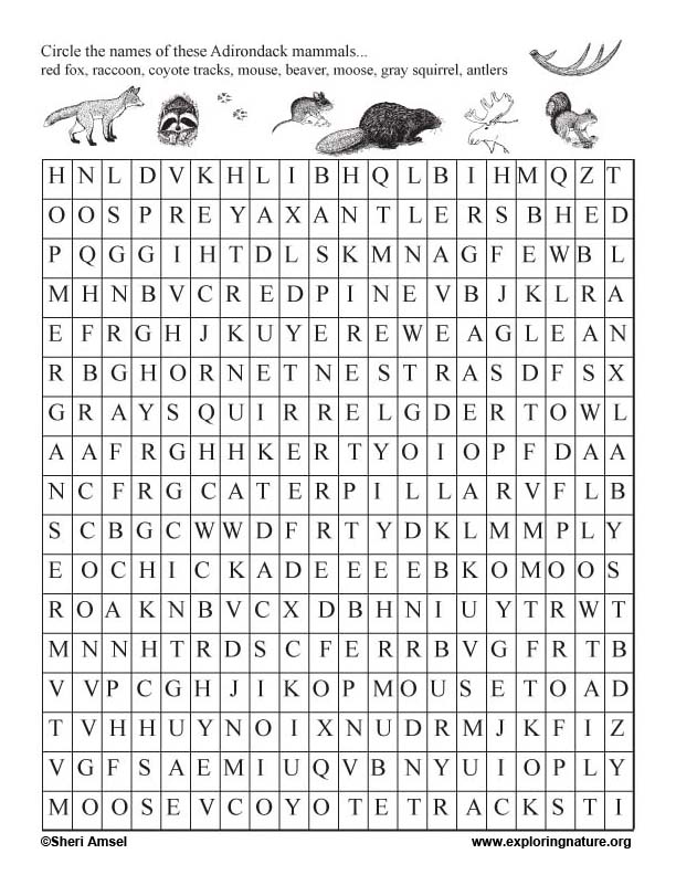 Word Search - Mammals