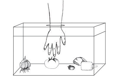 Classification Activity