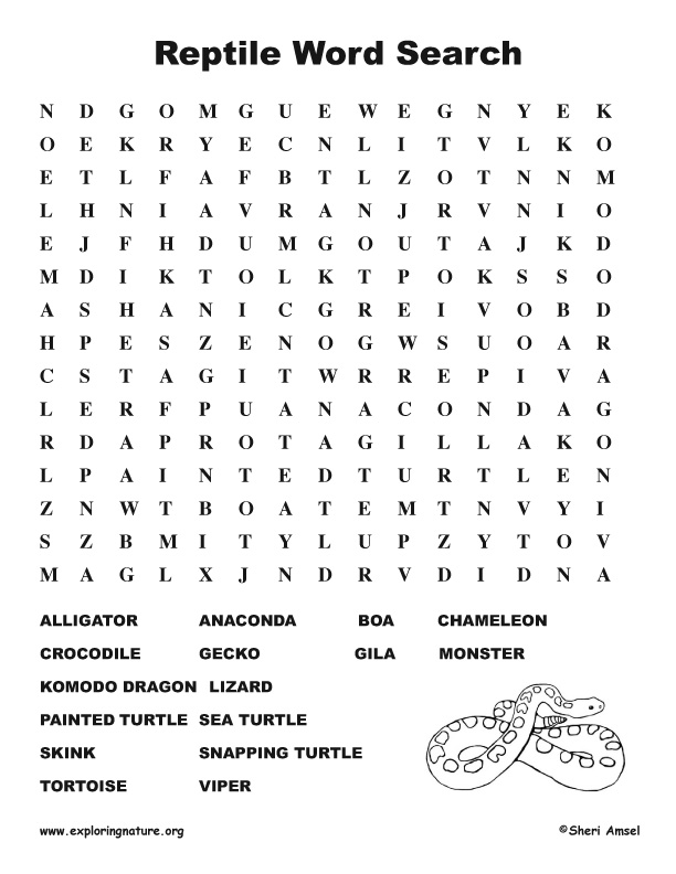 reptile-word-search-middle