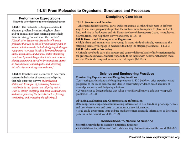 Grade 1 - 1-LS1 From Molecules to Organisms: Structures and Processes