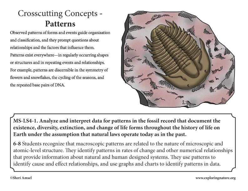 Appendix G. Crosscutting Concepts Posters MS