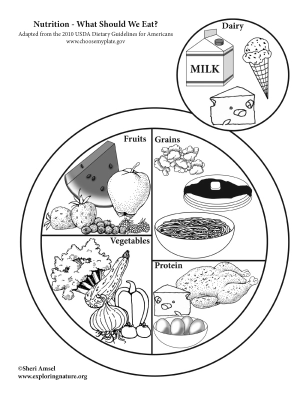 Nutrition - The Foods We Need To Eat