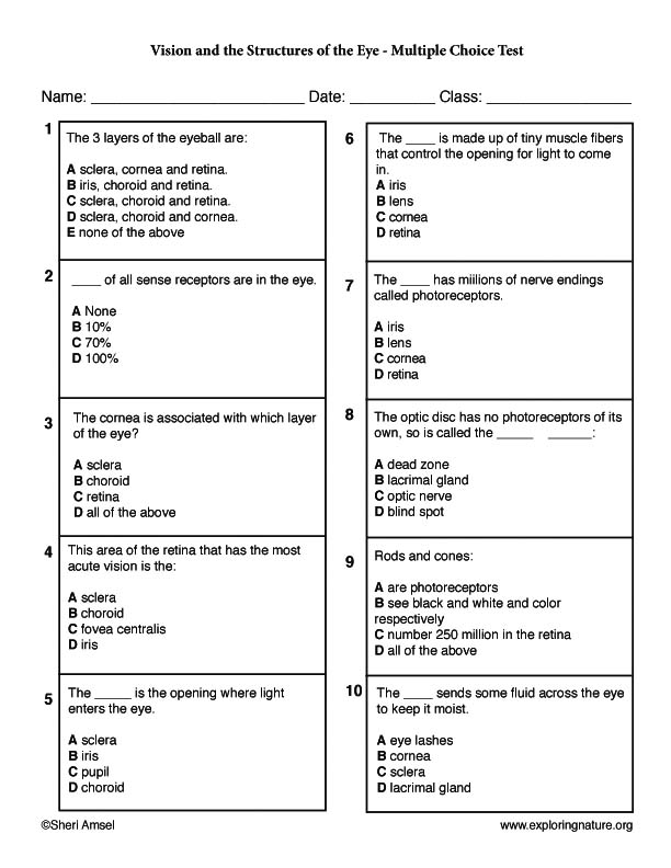 Eye (Vision and Structure) - Multiple Choice