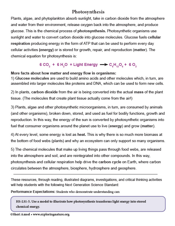 photosynthesis-grade-9-12