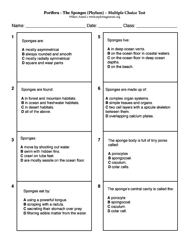 Sponges Porifera (Phylum) Multiple Choice Test