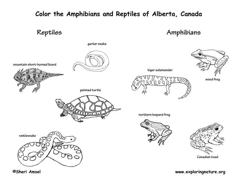 Canadian Province - Alberta