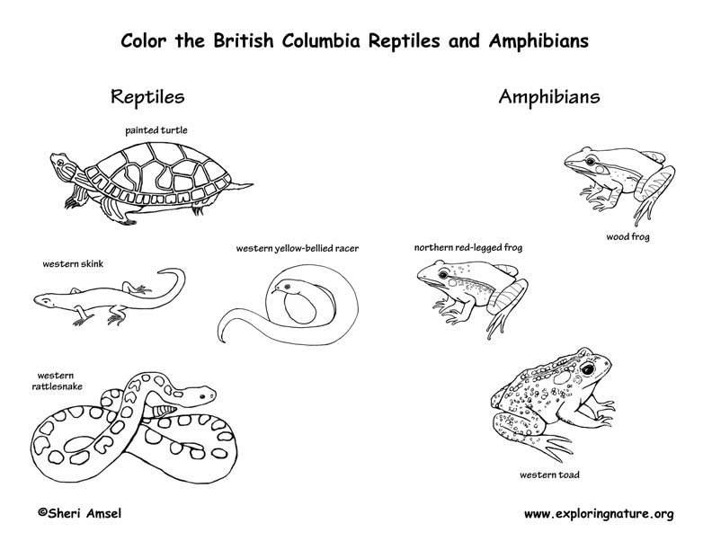 Canadian Province - British Columbia