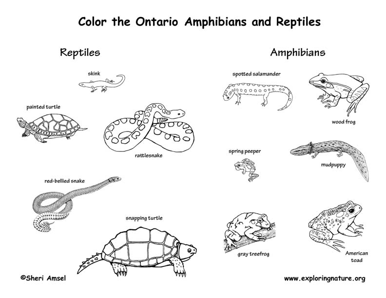 Canadian Province - Ontario