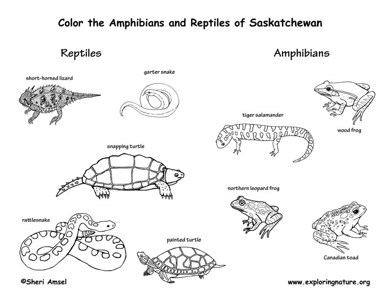 Canadian Province - Saskatchewan