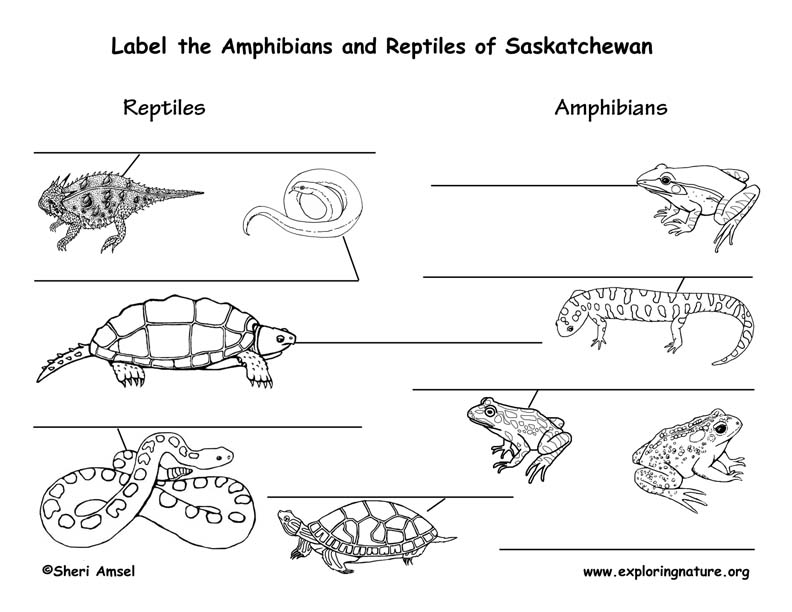 Canadian Province - Saskatchewan