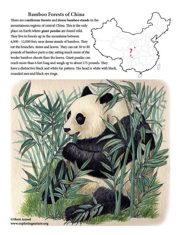 China Habitats Animals And Activities