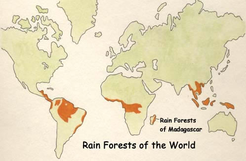 Map Rainforest Madagascar 