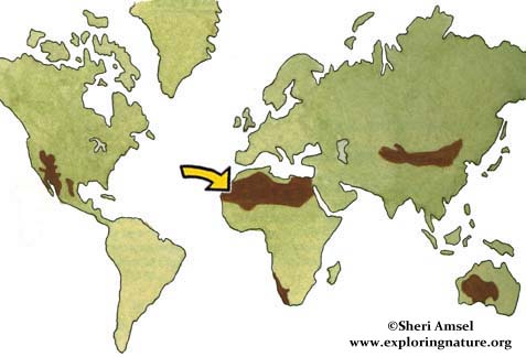 sahara desert location on world map