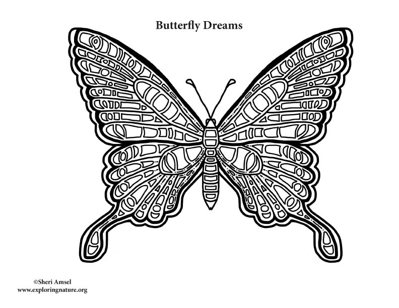 Butterfly Dreams Coloring Page