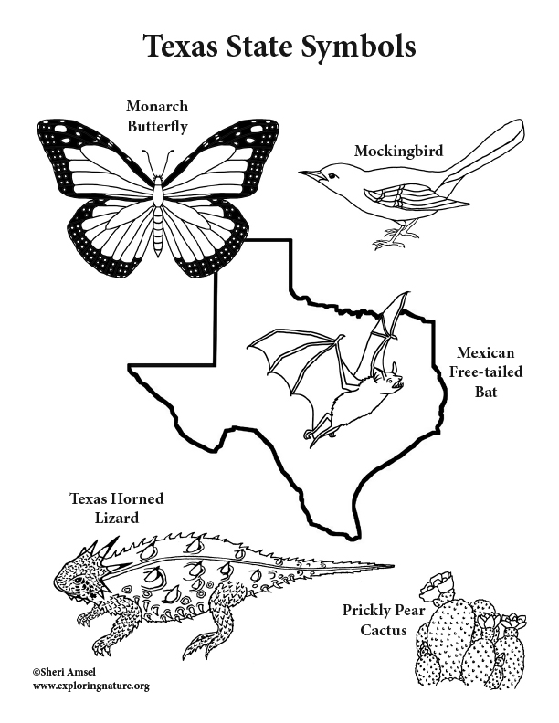 texas symbols coloring pages
