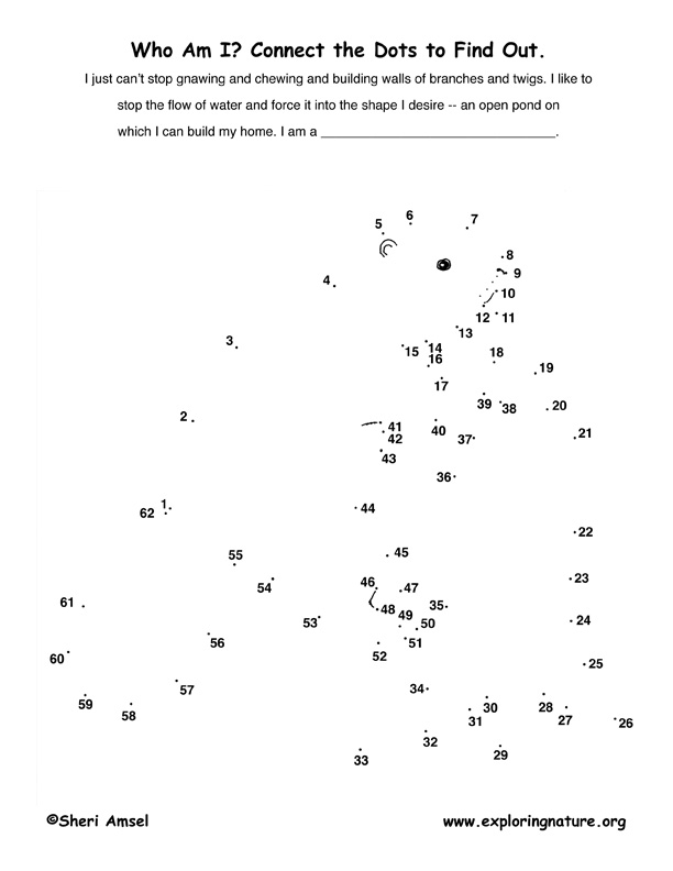 Beaver Connect-the-Dots Activity