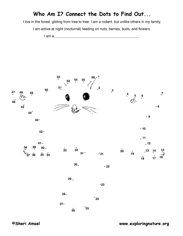 Flying Squirrel Connect-the-Dots Activity