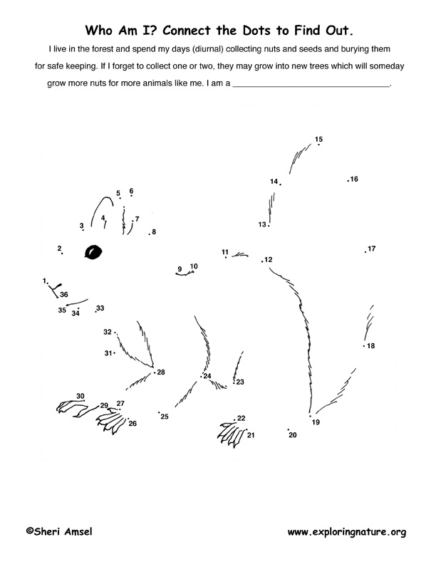 gray-squirrel-connect-the-dots-activity