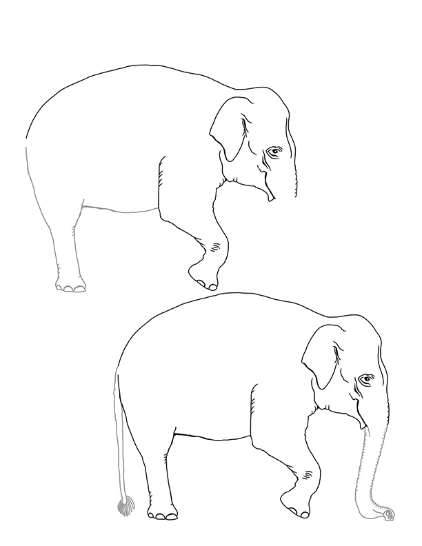 40 Simple Elephant Outline Stock Photos, High-Res Pictures, and Images -  Getty Images