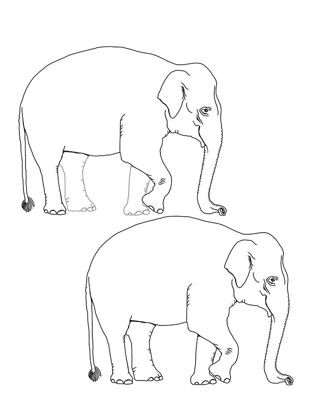 Realistic Elephant Sketch - CreativeModernArt - Drawings & Illustration,  Animals, Birds, & Fish, Elephants - ArtPal