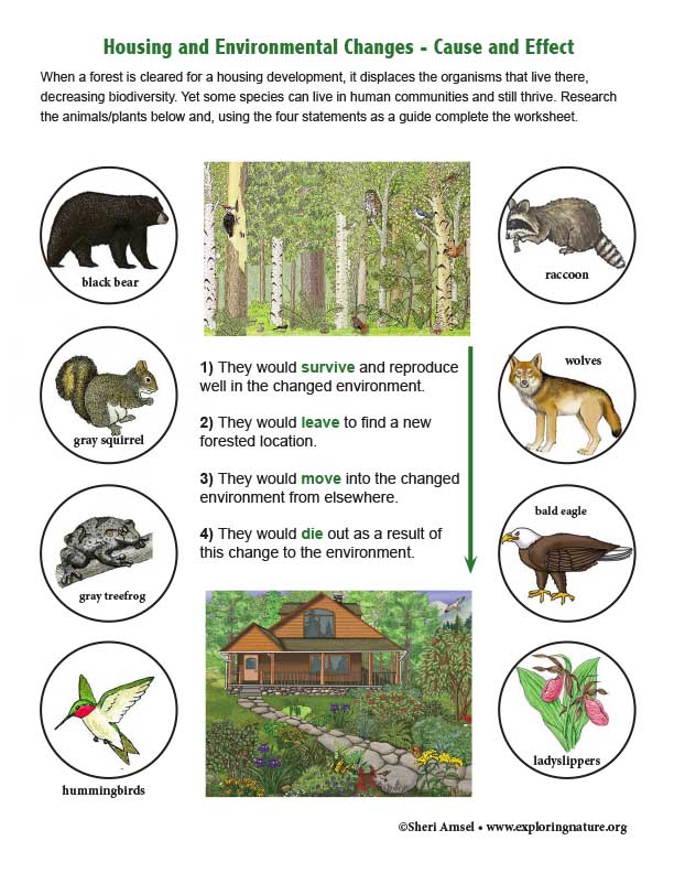 Housing and Environmental Changes - Cause and Effect