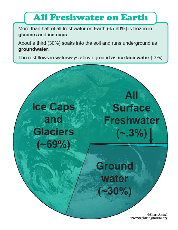 The Roles of Water in Earth’s Surface Processes (Grade 2)