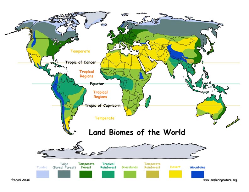 Biome Examples From Around the World