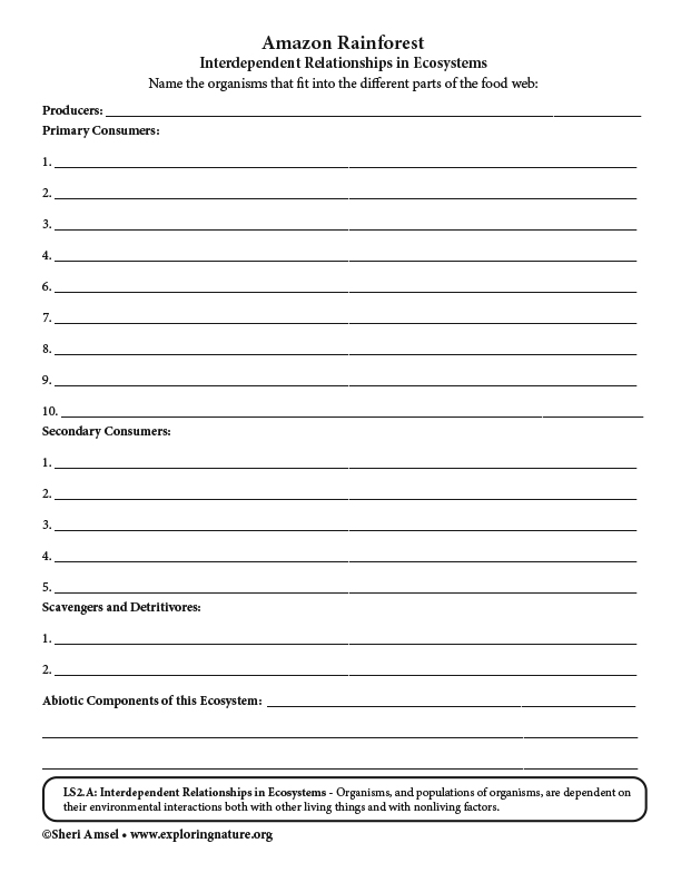 Amazon Rainforest - Interdependent Relationships in Ecosystems Activity ...