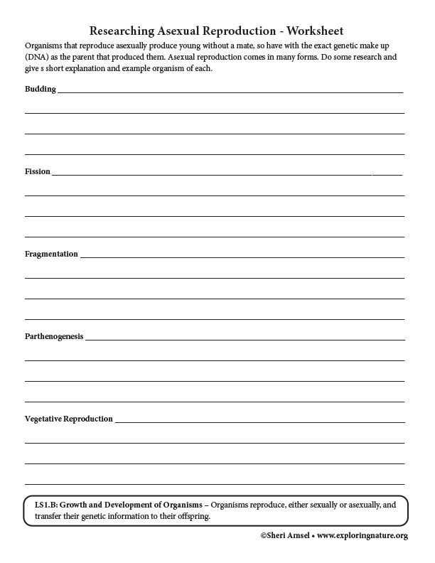 Researching Asexual Reproduction - Worksheet