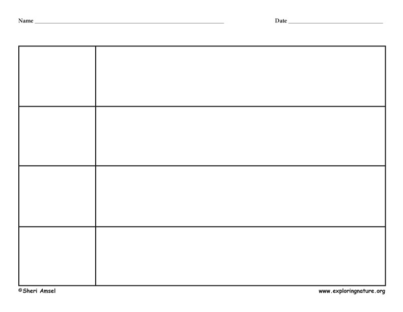 Generic Graphic Organizer - Four Row