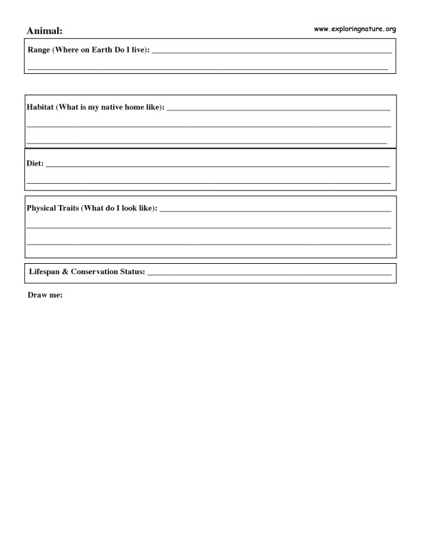 Zoo Animal Graphic Organizer