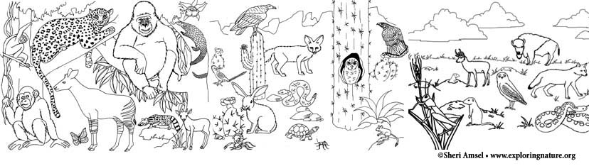 Download Habitats and Seasons Coloring Pages