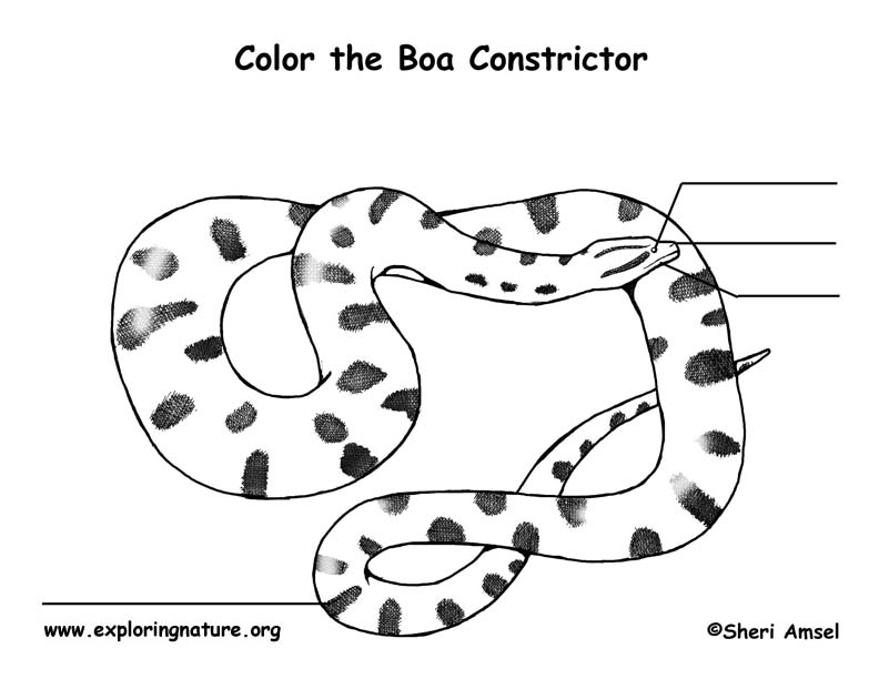Anaconda Labeling Page