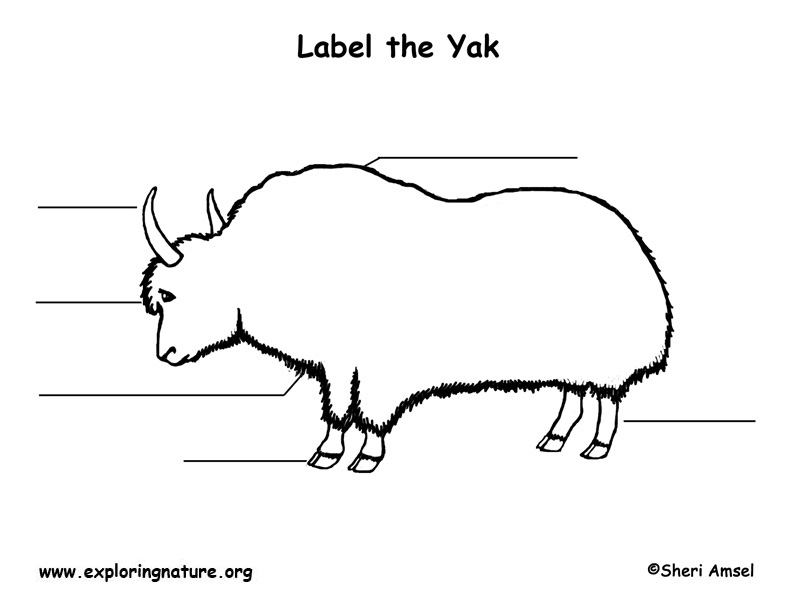 Yak Labeling Page