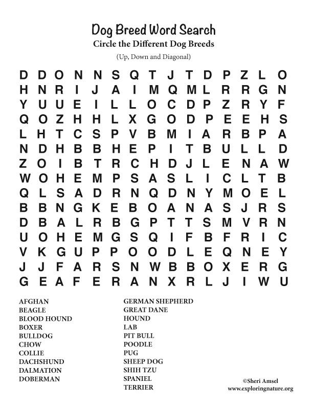 dog breed word search
