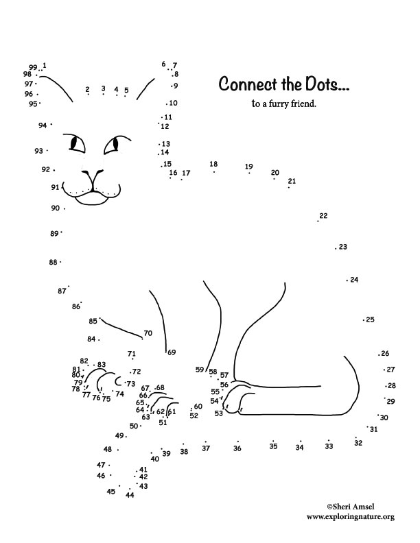 Cat Connect-the-Dots Activity