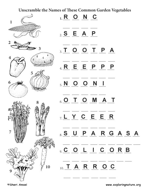 Garden Vegetable Name Unscramble