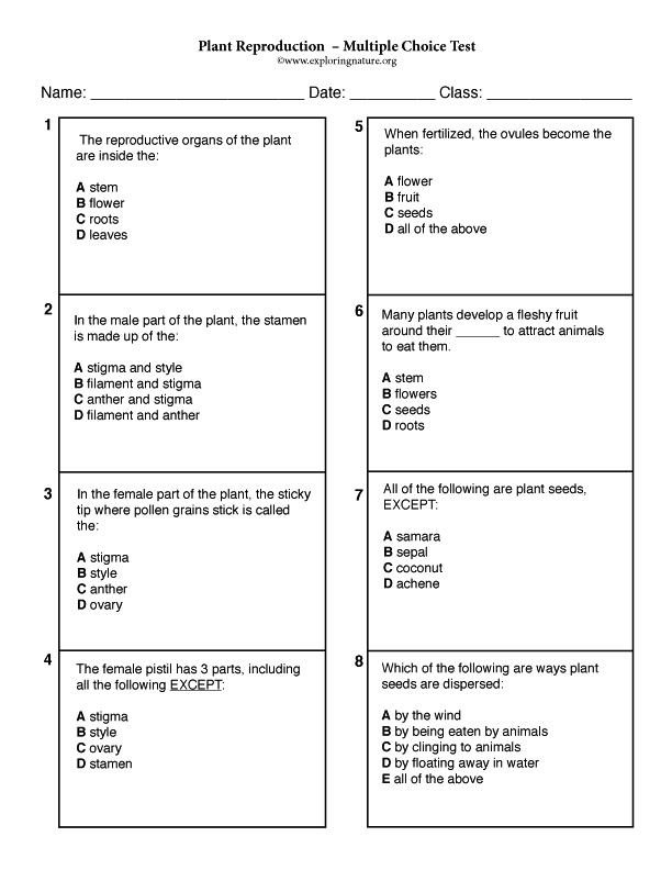 Plant Reproduction Multiple Choice Test