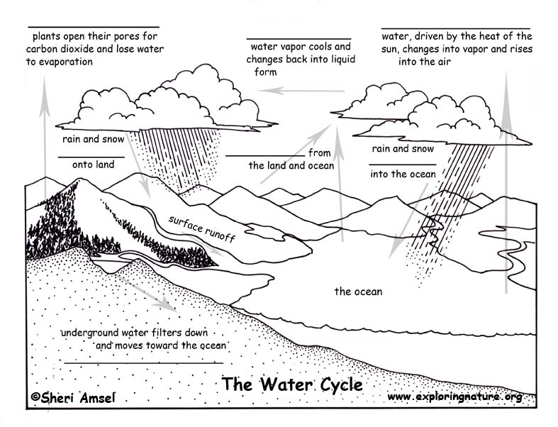 Download Water Cycle - Fill in the Blank Quiz