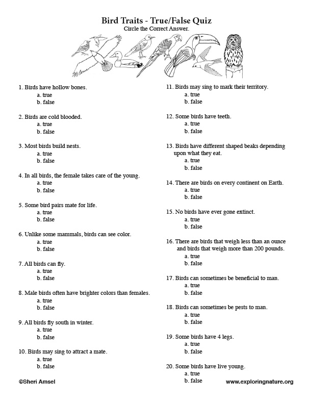 Bird Personality Test Printable