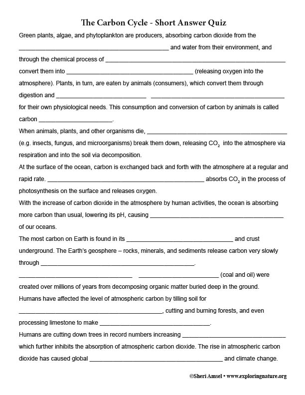 carbon-cycle-short-answer-quiz