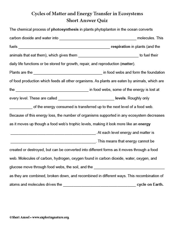 Cycles Of Matter And Energy Transfer In Ecosystems Worksheet Answers