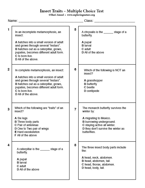 Insect Traits - Multiple Choice Test