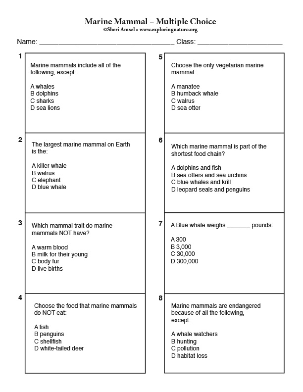 Miami Dolphins Quiz: questions and answers  free online printable quiz  without registration - download pdf - multiple-choice questions - mcq