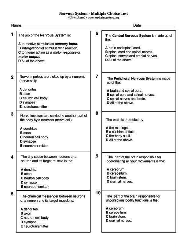 Nervous System Multiple Choice