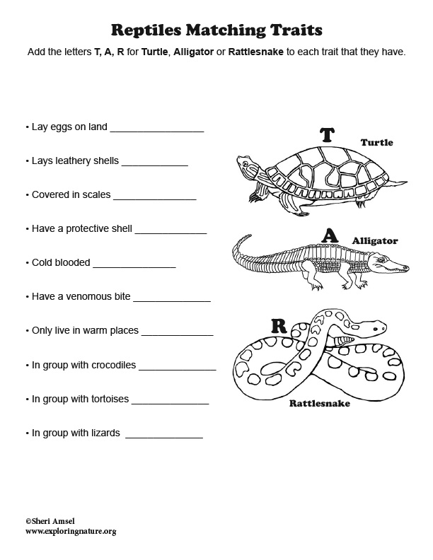 Reptiles Matching Traits Quiz